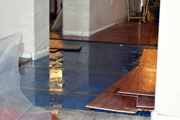 Professional Flood Damage Restoration technician working in Kittredge, CO